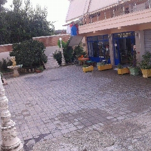 Ne Vlore shitet vile…