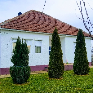 SHITET shtëpia në…