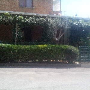 Jepet me QERA apartament…