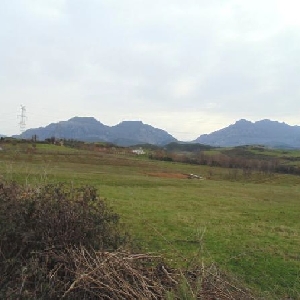 Shitet toke 1300 m2…